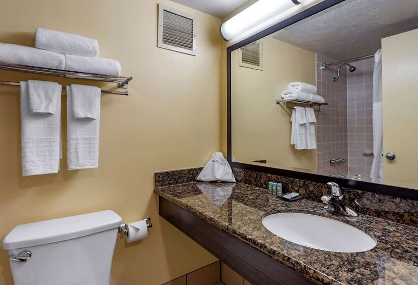اتاق استاندارد با 2 تخت دوبل, Best Western The Plaza Hotel Honolulu Airport   Free Breakfast