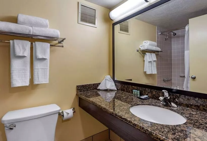 اتاق استاندارد با 2 تخت دوبل, Best Western The Plaza Hotel Honolulu Airport