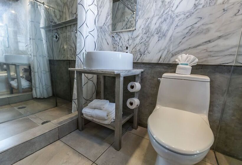 غرفه قياسيه سريرين مزدوجين, Chesterfield Hotel & Suites