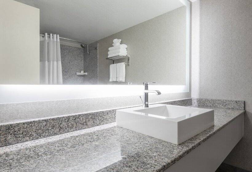 スタンダードルーム, Circus Circus Hotel Casino Reno At The Row