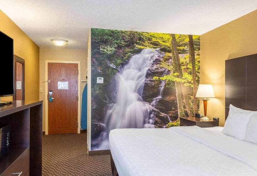 キングサイズベッドのスタンダードルーム, Clarion Pointe Harrisonburg