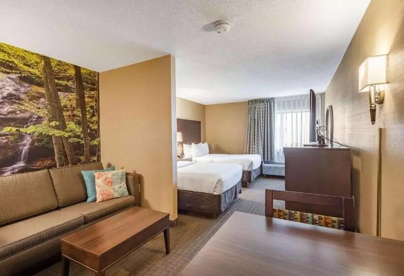 スイート, Clarion Pointe Harrisonburg