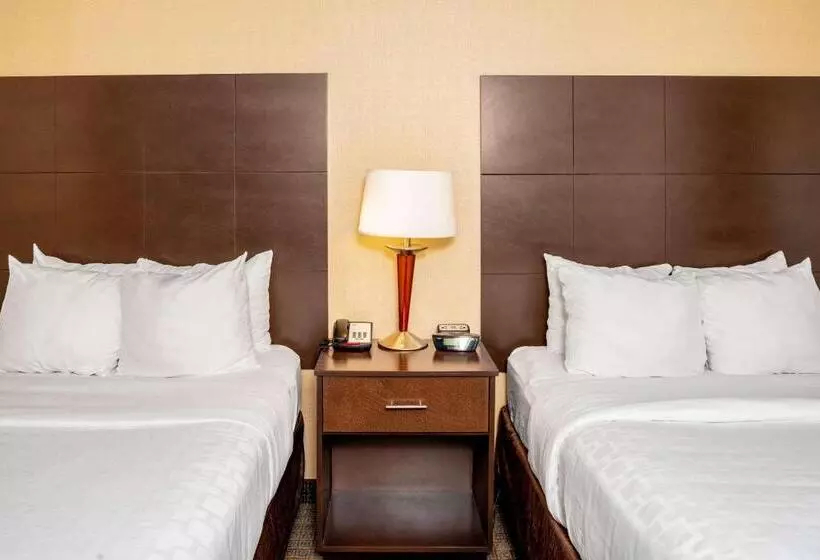 スイート, Clarion Pointe Harrisonburg
