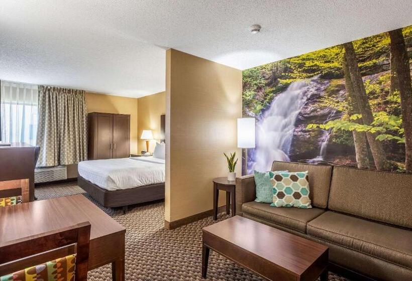 带大床的套房, Clarion Pointe Harrisonburg
