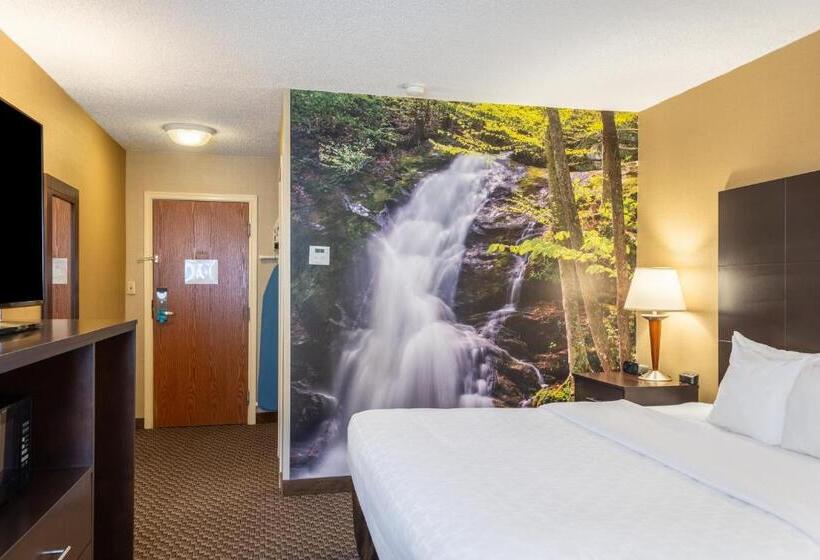 身障者適用キングサイズベッドルーム, Clarion Pointe Harrisonburg