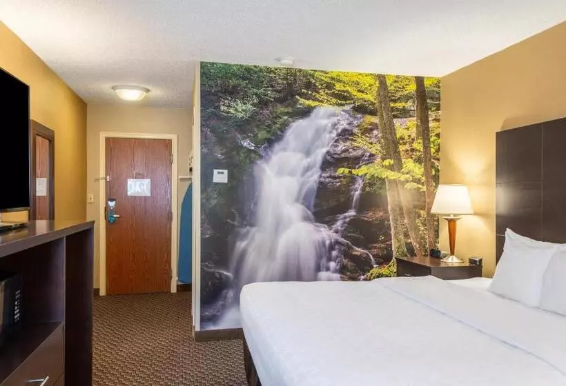 身障者適用キングサイズベッドルーム, Clarion Pointe Harrisonburg