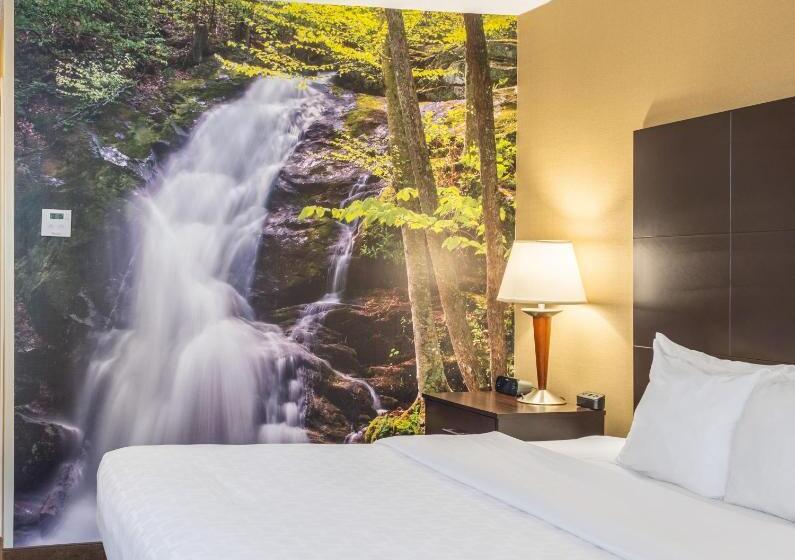 身障者適用キングサイズベッドルーム, Clarion Pointe Harrisonburg