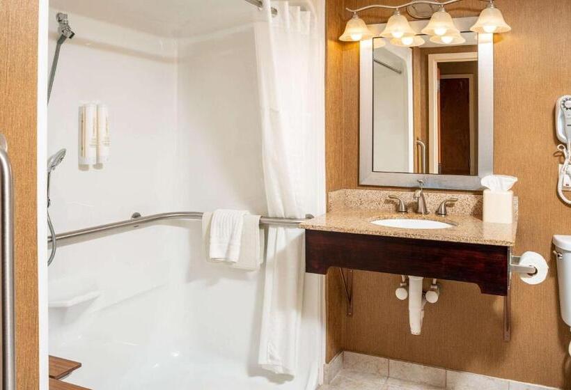 身障者適用スイートルーム, Clarion Pointe Harrisonburg