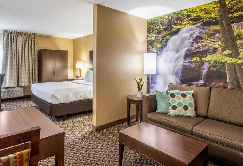 身障者適用スイートルーム, Clarion Pointe Harrisonburg