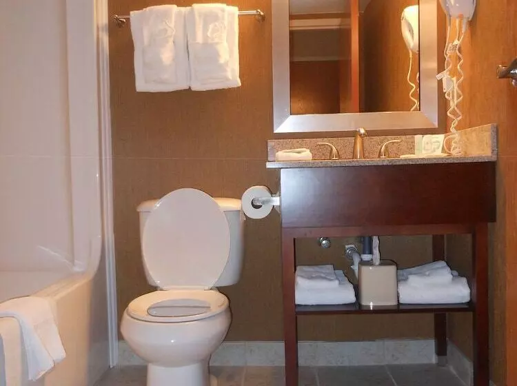2ダブルベッドのスタンダードルーム, Clarion Pointe Harrisonburg