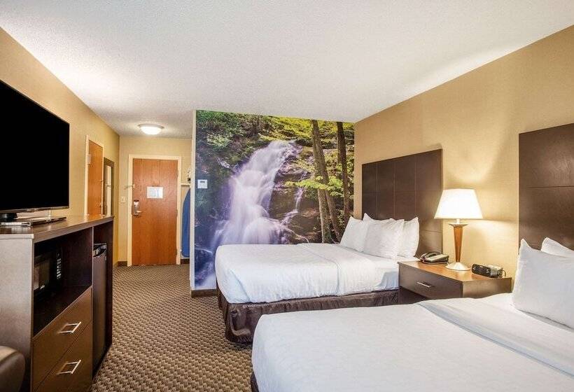 2ダブルベッドのスタンダードルーム, Clarion Pointe Harrisonburg