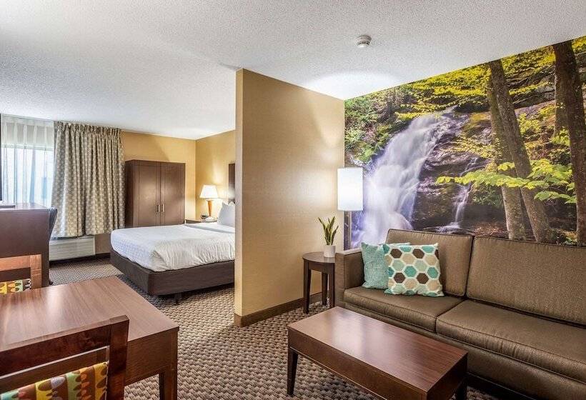 适合残疾人士使用的套间, Clarion Pointe Harrisonburg