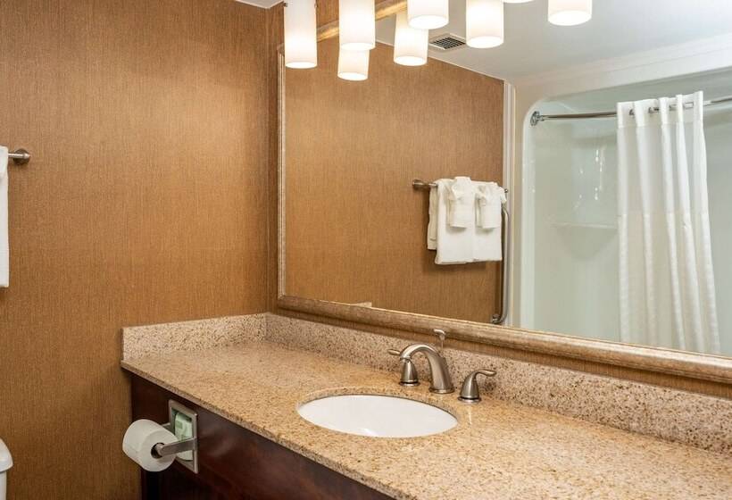 身障者適用スイートルーム, Clarion Pointe Harrisonburg