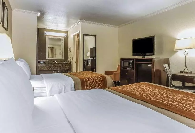 اتاق استاندارد با 2 تخت دوبل, Comfort Inn