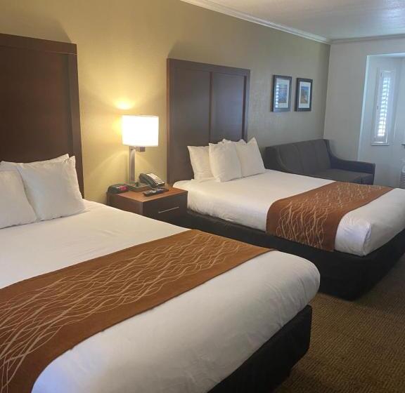２ダブルベッドのスタンダードルーム, Comfort Inn