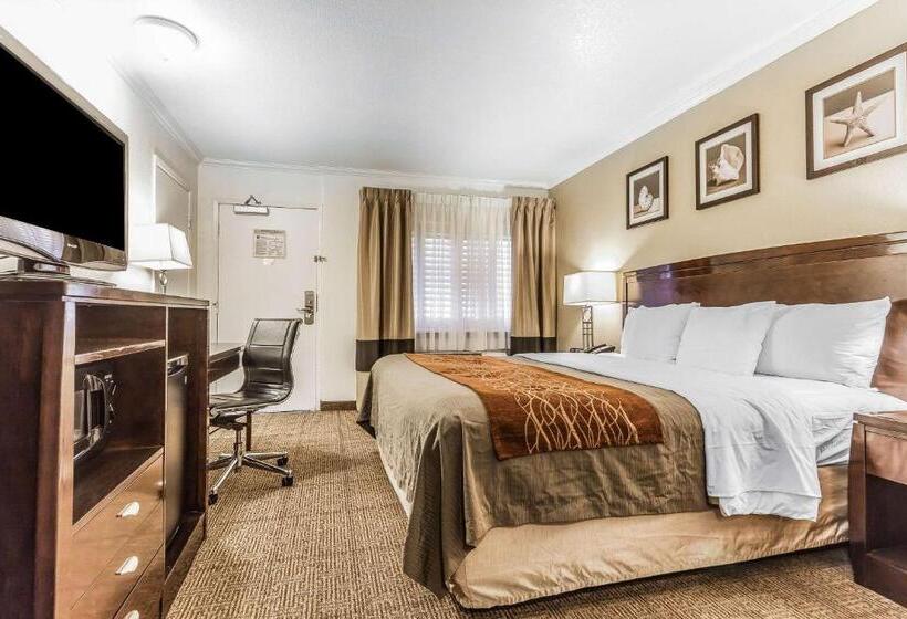 キングサイズベッドのスタンダードルーム, Comfort Inn