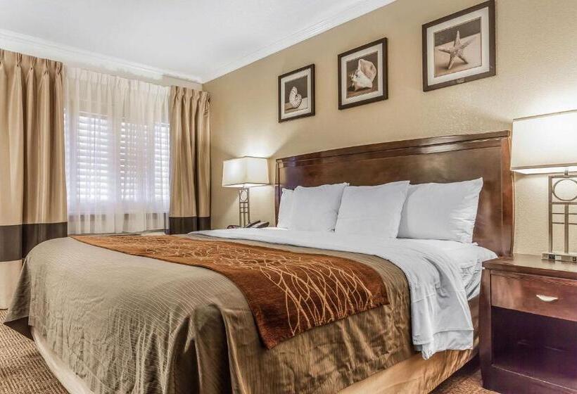 غرفة قياسية سرير كينج, Comfort Inn