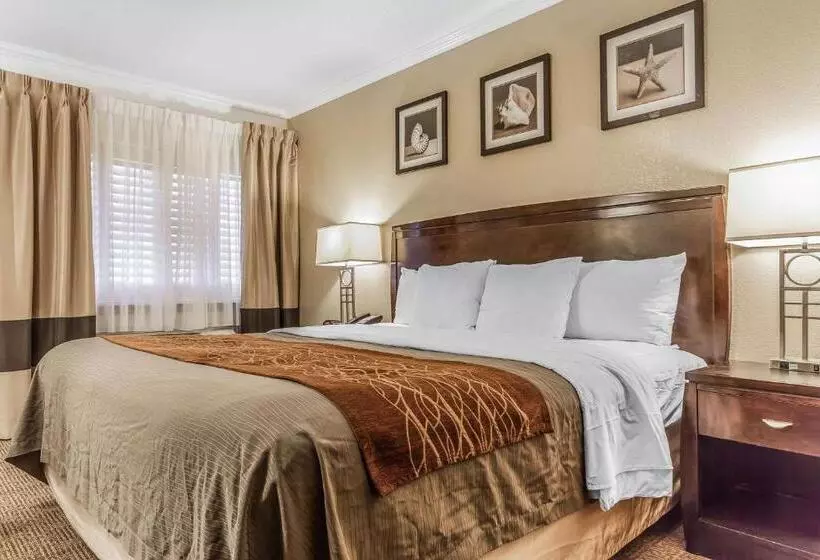 اتاق استاندارد با تخت بزرگ, Comfort Inn