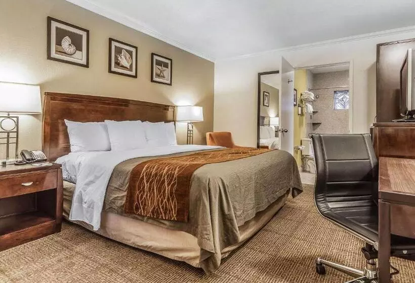 اتاق استاندارد با تخت بزرگ, Comfort Inn