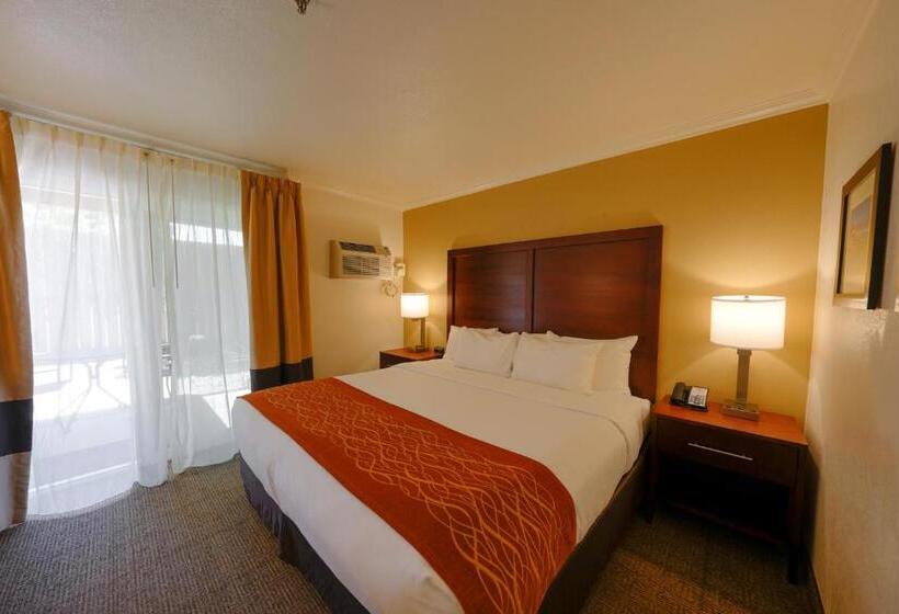 キングサイズベッドのスタンダードルーム, Comfort Inn
