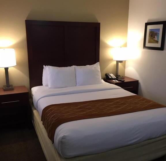 غرفة قياسية, Comfort Inn