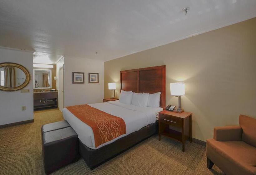 キングサイズベッドのスタンダードルーム, Comfort Inn