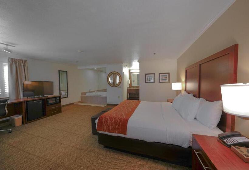 غرفة قياسية سرير كينج, Comfort Inn