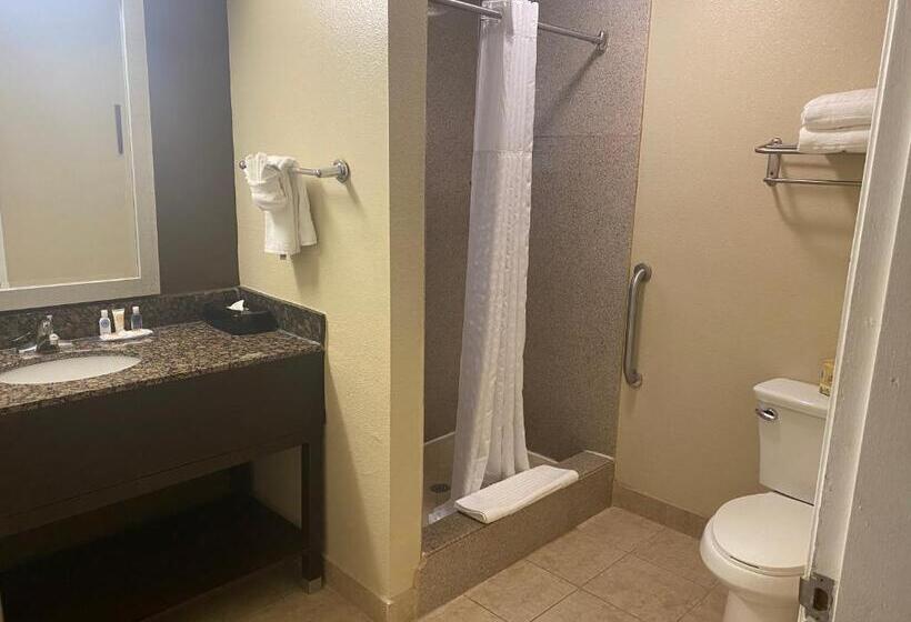 スタンダードルーム, Comfort Inn