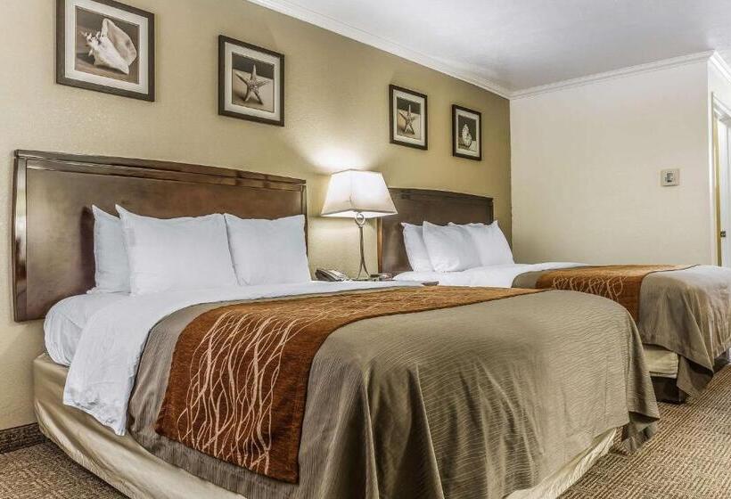 غرفة قياسية, Comfort Inn