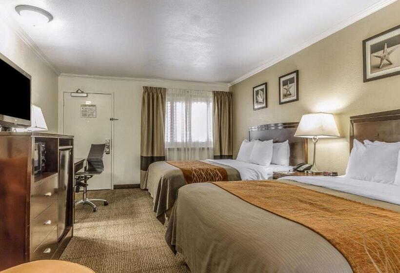 غرفة قياسية, Comfort Inn