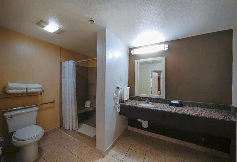 身障者適用スタンダードルーム, Comfort Inn