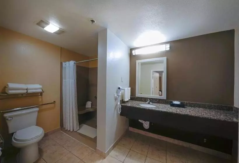 اتاق استاندارد برای معلولان, Comfort Inn