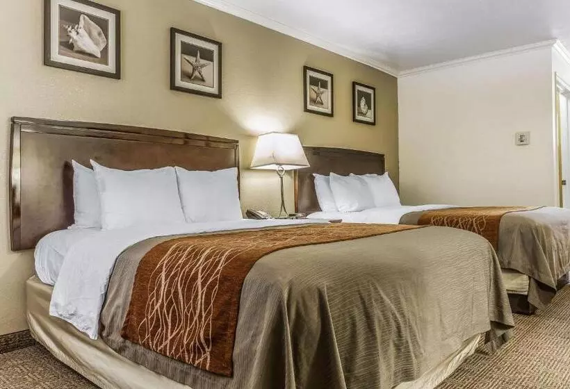 اتاق استاندارد برای معلولان, Comfort Inn