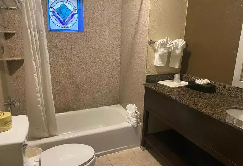 سوئیت با تخت بزرگ, Comfort Inn