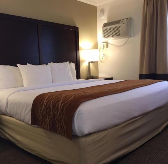 جناح سرير كينج, Comfort Inn