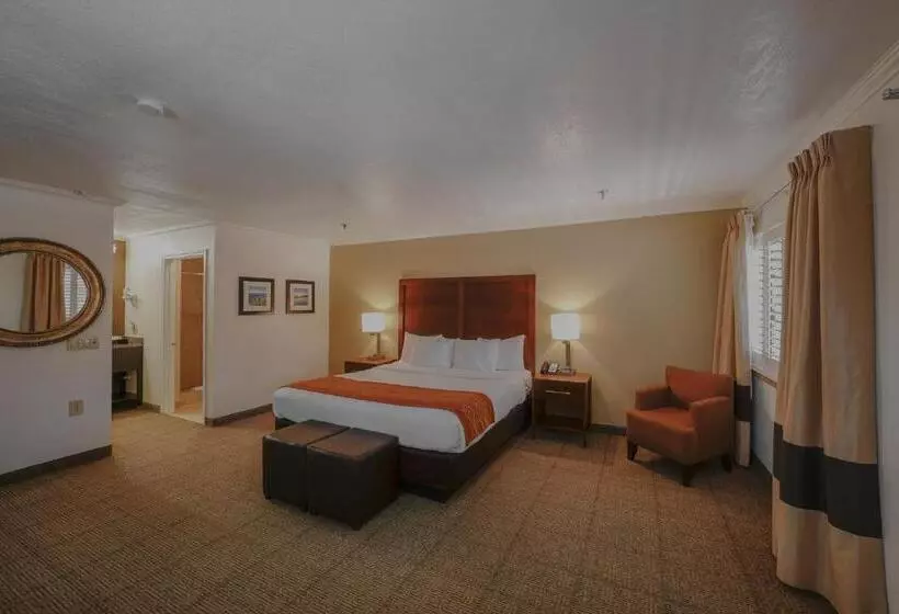 سوئیت با تخت بزرگ, Comfort Inn