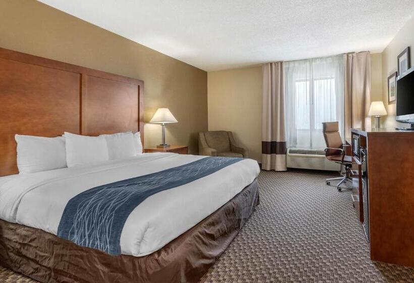 带大床的标准间, Comfort Inn South