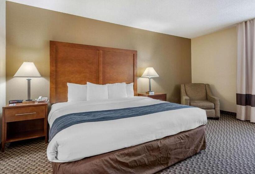 Cameră Standard Pat King Size, Comfort Inn South