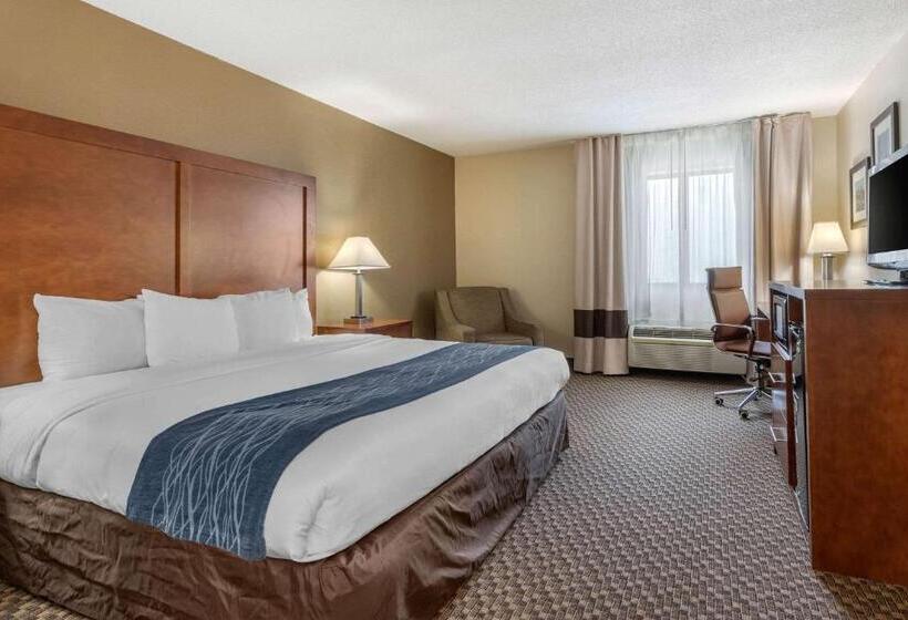 带大床的标准间, Comfort Inn South