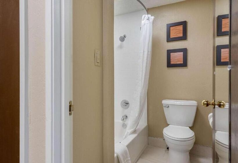 Cameră Standard Pat King Size, Comfort Inn South