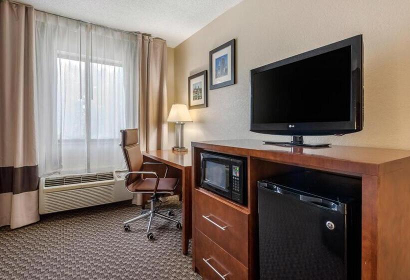 带大床的标准间, Comfort Inn South