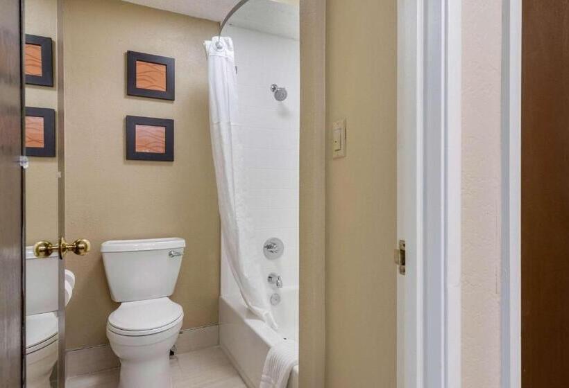 Cameră Standard, Comfort Inn South