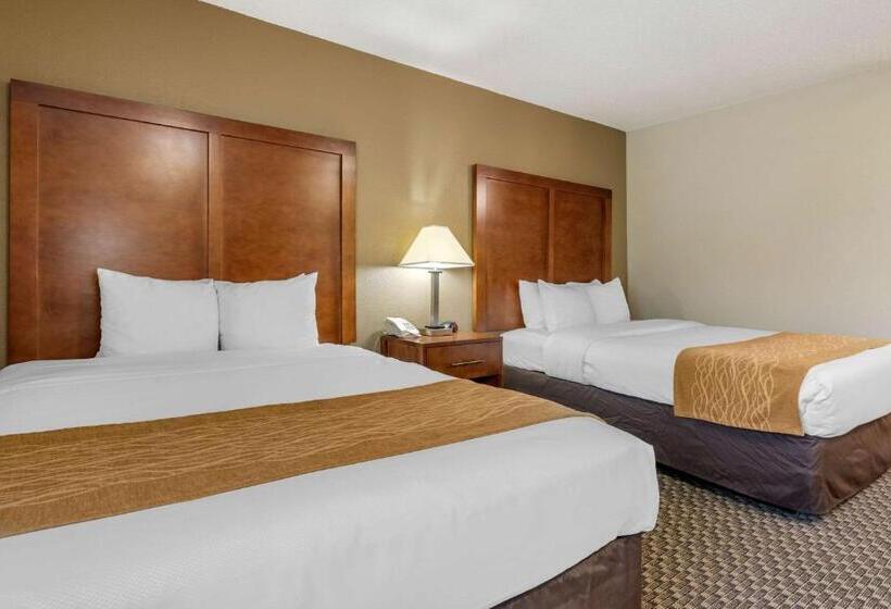 Cameră Standard, Comfort Inn South