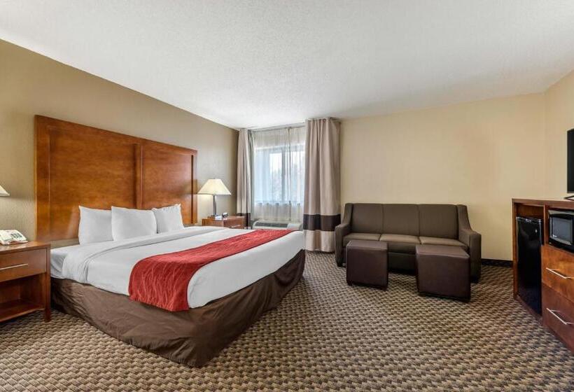 Suite Pat King, Comfort Inn South