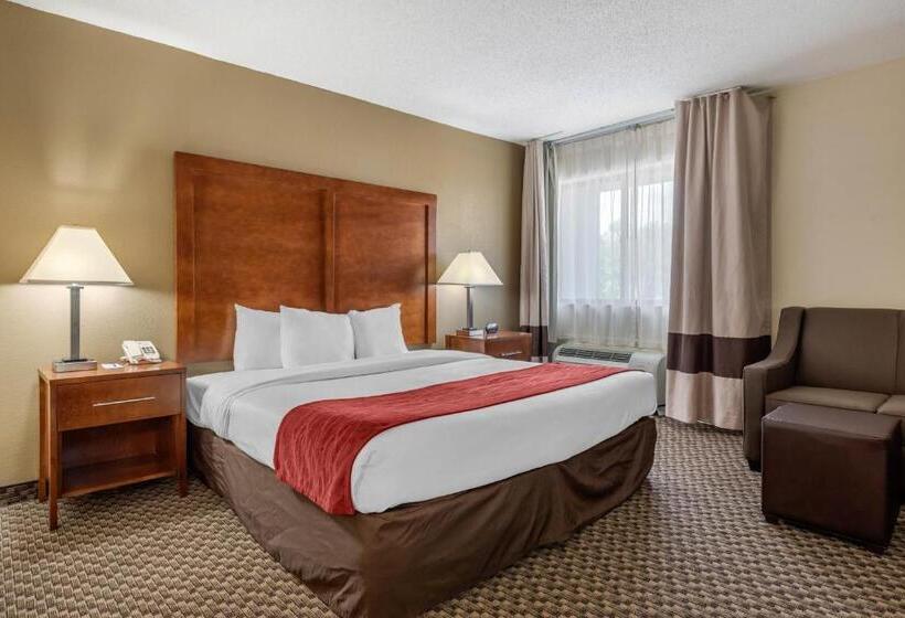 جناح سرير كينج, Comfort Inn South