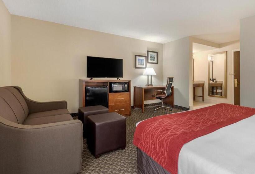 带大床的套房, Comfort Inn South