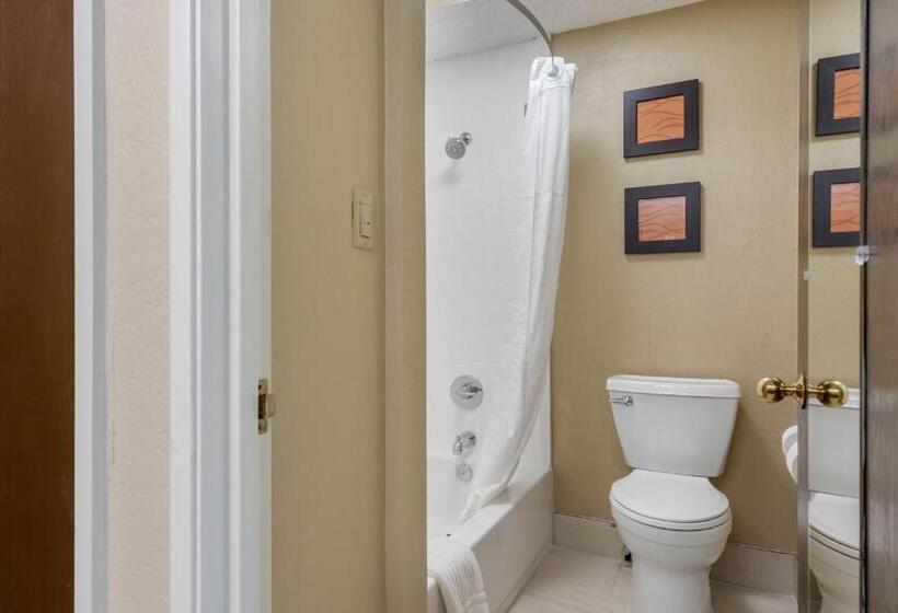 Suite Pat King, Comfort Inn South