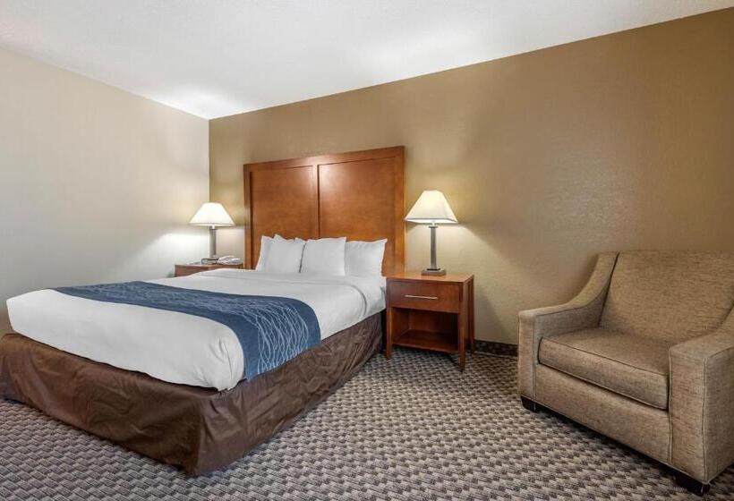 Camera Standard Pat King Adaptată pentru Discapacitaţi, Comfort Inn South