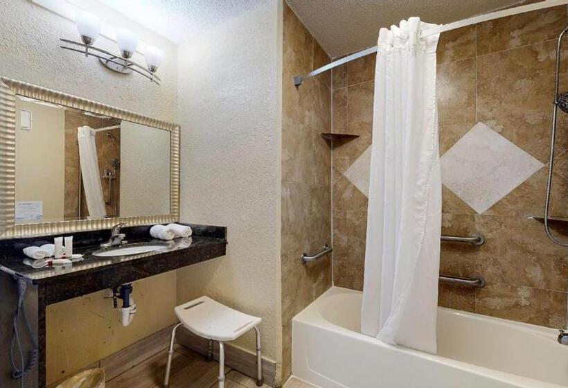 Номер Стандарт Кровать Кинг Адаптированный для Инвалидов, Days Inn By Wyndham Orlando Downtown