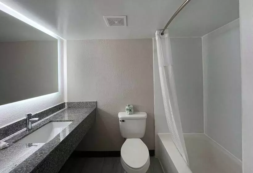 اتاق کلاس بیزنس, Days Inn And Suites By Wyndham Port Huron